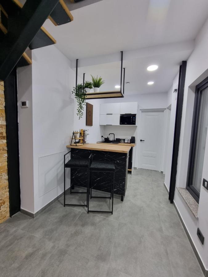 Casa Chiper - Apartament Parter Brașov Exterior foto